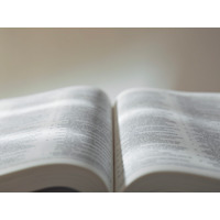 英単語や文法は知っているハズなのに…長文になると読めない！書けない‼生成AIで「英語力」が伸びるってホント？【使い方実例つき】