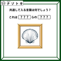 クイズです！「イラストを見てハテナに入る共通の言葉を考えましょう」ダジャレが得意な人には楽勝かも！【難易度LV.２・甘口】