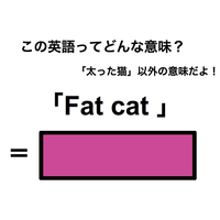 この英語ってどんな意味？「Fat cat」