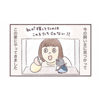 同じ誕生日、同じケースにいた2羽のインコ。偶然の出会いから始まるインコとの暮らし【うちのインコたちは今日もおしゃべり #１】