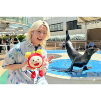 ミセス藤澤涼架「めざましテレビ」ミニ企画レギュラー化「涼ちゃんの動物メモ」9月スタート・初回放送テーマは“アシカ”