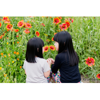 小学生におすすめのイベント…9-12月に開催、応募開始などの情報まとめ