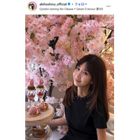 ほしのあき「16年目もよろしくお願いします」夫との結婚記念日ショット公開に「美男美女でお似合い」の声 篠田麻里子からも祝福のコメント