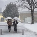 日本海側大雪、死者や事故 画像