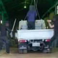 技能実習生「職場で暴行」と訴え 画像