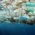 海のプラごみ、ルール作りへ 画像