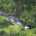 人骨の一部が見つかった現場周辺＝27日午前10時3分、山梨県道志村（共同通信社ヘリから）