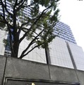 甲状腺がん訴訟、東電は争う姿勢 画像