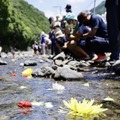 球磨川の支流・川内川に、住民らの手で流された花＝2日午前、熊本県球磨村