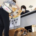 佐賀・玄海原発で重大事故訓練 画像
