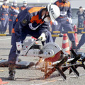 災害備え救助技術を確認、警視庁 画像