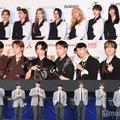 TWICE・Stray Kids・&TEAM…K-POPアーティスト“ズートピアチャレンジ”にファン悶絶 画像