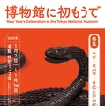 【冬休み2025】東京国立博物館、巳年ちなみ「博物館に初もうで」 画像