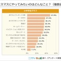 クリスマスにやってみたいのはどんなこと？