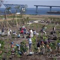 2009年（平成21年）の植樹のようす