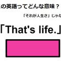 この英語ってどんな意味？「That’s life.」 画像