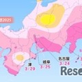 各エリアの桜開花予想・東海