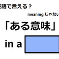 英語で「ある意味」はなんて言う？ 画像