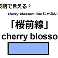 英語で「桜前線」はなんて言う？