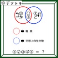 クイズです！「ベン図の意味を考えよう」矢印をよく見ると分かるかも？【難易度LV.3・中辛】