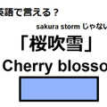 英語で「桜吹雪」はなんて言う？