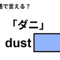 英語で「ダニ」はなんて言う？ 画像