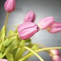 「胸の違和感、我慢しないで」薬剤師が教える、更年期に効く“やさしいケア”の選び方 画像