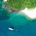 「世界でいちばん大きな生命は？」ゾウでもクジラでもない「意外なもの」を主張するその理由と聞いてみたら思いのほか深かった 画像