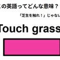 この英語ってどんな意味？「Touch grass. 」 画像