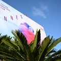 「カンヌ映画祭」倒木事故、負傷の日本人男性は状態安定 映画「見はらし世代」制作会社がコメント 画像