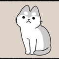 うちの猫には秘密がある！うっかり丸いものを見ると、 狼になってしまう猫【ねこもんすたー ＃３】 画像