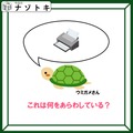 クイズです！このウミガメが「言っていること」はナニ？【難易度LV３.・中辛】 画像