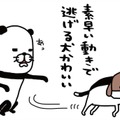 愛犬の鼻をよく観察してみると…マッシュルームの断面図みたい！【パンダと犬 ＃４】 画像