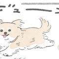 ドッグラン大好きむっく…他の犬にあいさつを…その後に待つことは?!【うちのむっくはいつも楽しそう #４】