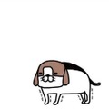 ヨボヨボ愛犬、一人でできないことが増えるばかり。それでも愛おしすぎるのはナゼ？【パンダと犬 ＃35】 画像