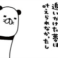 叶わなかった夢や失くしたものばかり…なのに「サンキュー神様」と言いたくなるのはナゼ？【パンダと犬 ＃36】 画像