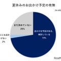夏休みに出かける予定の有無