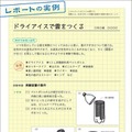 レポートの実例：実際の実験結果をまとめたレポートの例がついている