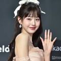 IVEウォニョン、ミニスカから美脚スラリ「圧巻のスタイル」「優勝」の声 画像