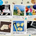 夏の特別講座（1回完結講座）