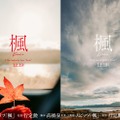 “デビュー34年”スピッツ、楽曲が初の映画化「楓」から生まれたラブストーリー公開決定 画像