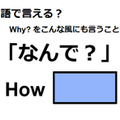 英語で「なんで？」はなんて言う？ 画像
