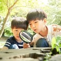【夏休み2025】小中学生の自由研究テーマ紹介…明光プラス 画像