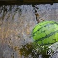 小学1・2年生向け自由研究テーマ例「水に浮くもの・沈むものを調べよう」