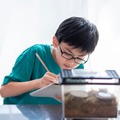 【夏休み2025】自由研究、親はどこまでサポート？84%の家庭が実践する子供主体の進め方 画像