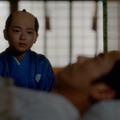 江戸時代に横行した「毒殺」、もっとも使われた毒は何だったのか？ 将軍の“怪死”をめぐる疑惑と実像 画像