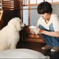 「初恋DOGs」第8話　©TBS