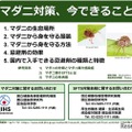 マダニ感染症患者が135人に増加…マダニ対策、今できること 画像