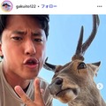 「ZIP！」旅するエプロン・伊藤楽、美人妻顔出し 娘の100日祝い＆お食い初めショットに反響「3人とも可愛すぎる」「温かい家庭」 画像