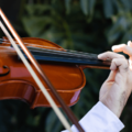 ウィーンを歩いていると…→「すごい！」思わず”立ち止まるの光景”に「さすが音楽の都」 画像